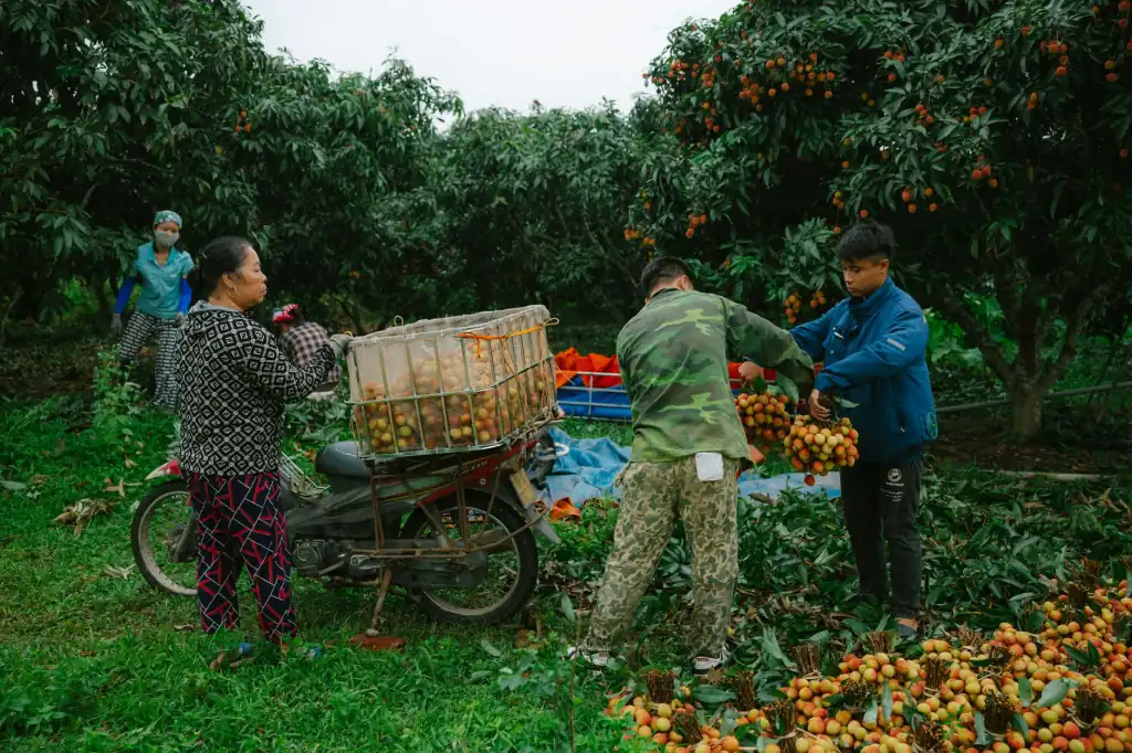 洛阳企业数字化转型中技术服务外包的关键考量因素