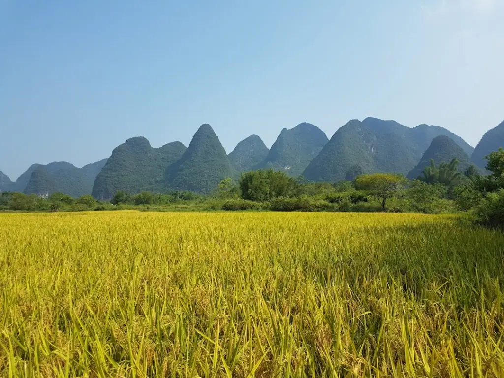 洛阳企业数字化转型中软件开发服务的关键技术环节解析